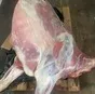 мясо быков собственный убой под заказ в Смоленске и Смоленской области