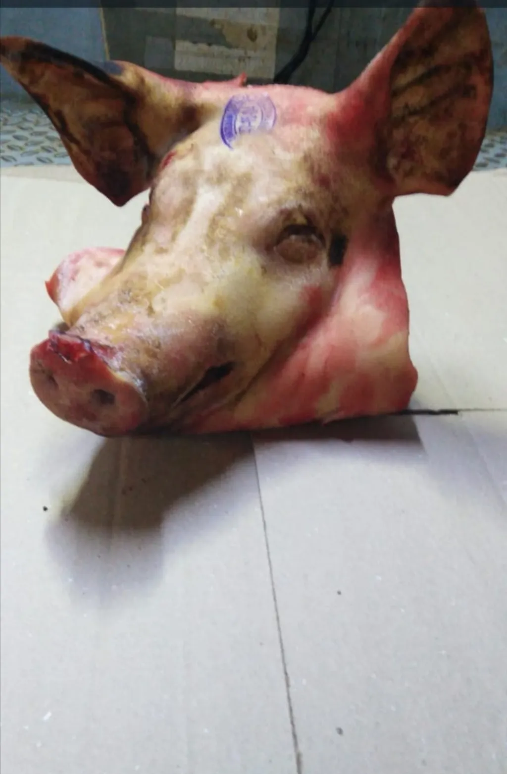 фотография продукта головы свиные