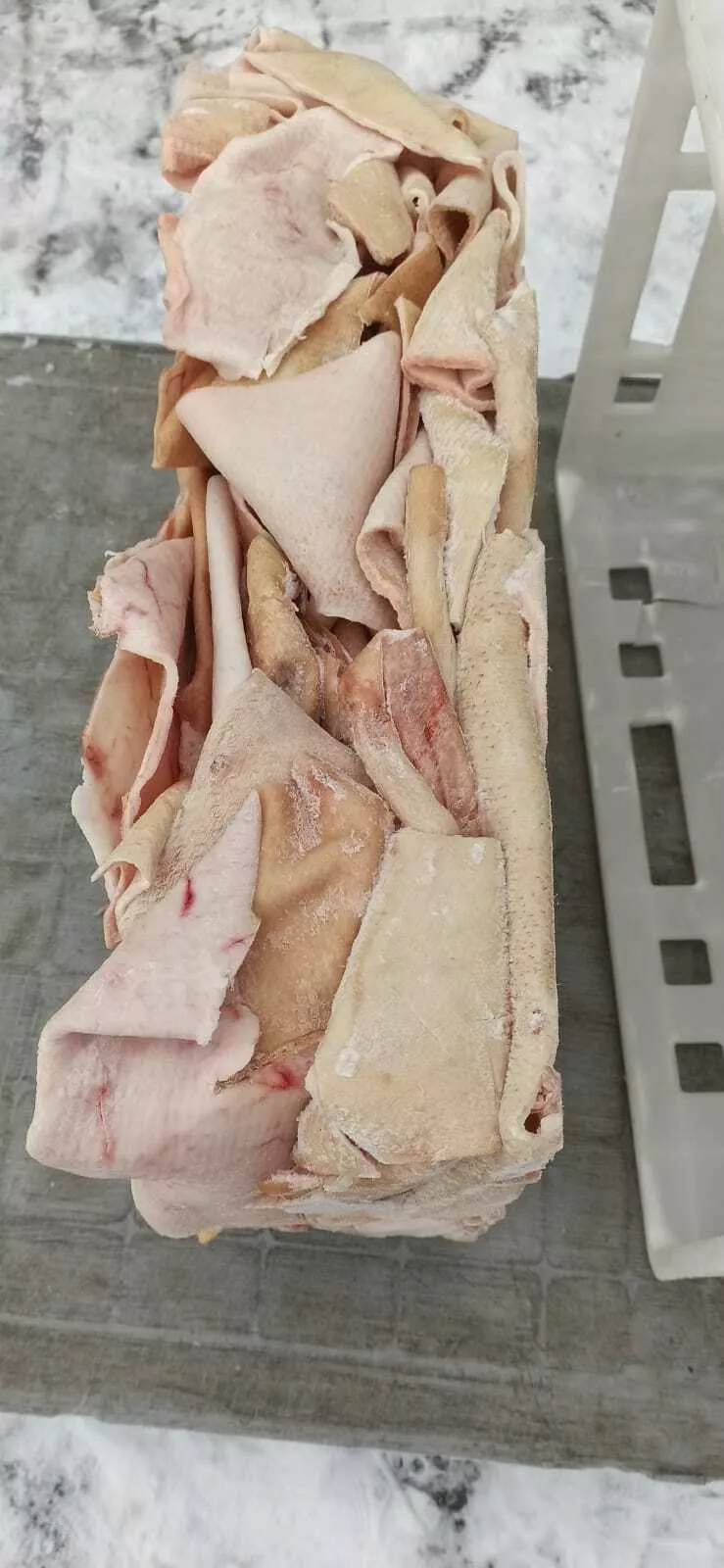 шкурка свиная замороженная в Смоленске 2