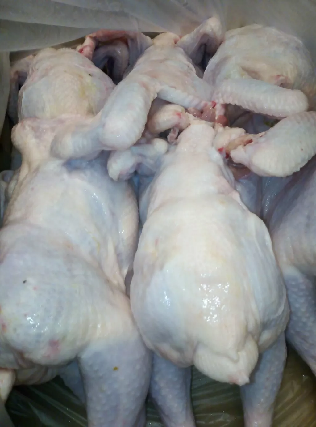 фотография продукта Мясо птицы , тушка - ЦБ потрошенная 