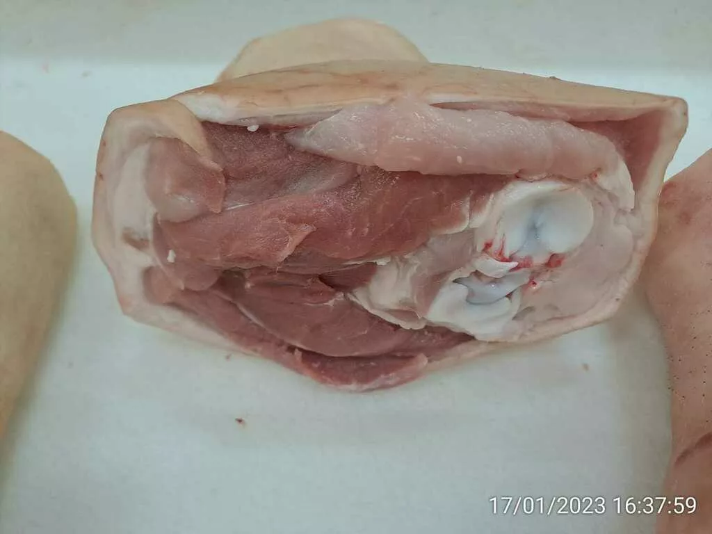 голяшка свиная задняя  в Смоленске и Смоленской области